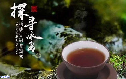 天福茗茶普洱茶950克价格及其它规格产品价格介绍