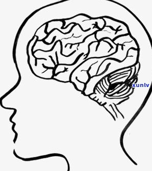 玉兽图片大全简笔画：可爱、彩色头像及含义解析