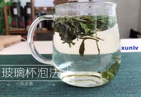 普洱茶玻璃杯：泡茶 *** 与次数全攻略