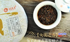 无量山普洱茶口感全解析：特点、生茶与熟茶价格一览