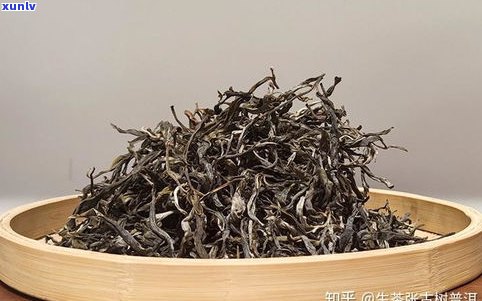 无量山普洱生茶：特点、档次与口感全面解析