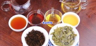 无量山普洱熟茶价格表大全：特点、口感与生茶对比