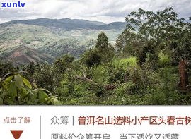 无量山普洱属于哪个产区？特点、口感及价格全解析