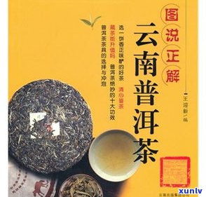 云南普洱茶批发：价格、市场与网站大比拼