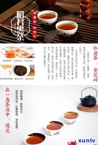  *** 版虎年普洱茶- *** 版虎年普洱茶是真的吗