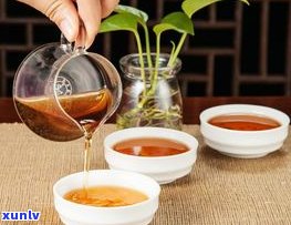 普洱茶产地：哪些地方产出的普洱茶？