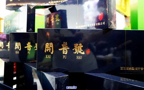 云南普洱茶创业人：探寻茶叶之源与产业发展