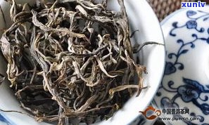 布朗山帕沙古树茶口感特点与价格一览