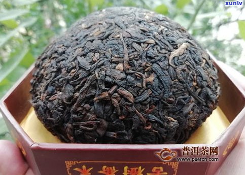 凤凰窝普洱茶颜色-凤凰窝普洱茶颜色不一样