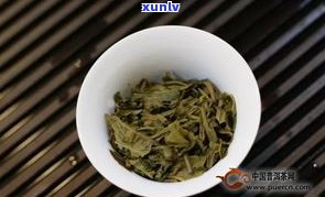 大白菜普洱茶官方-大白菜普洱茶系列