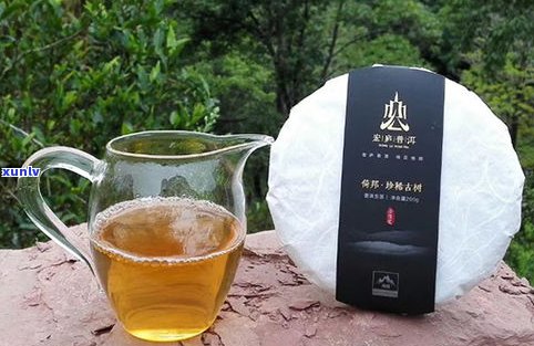 普洱茶有没有打药-普洱茶有没有打药的