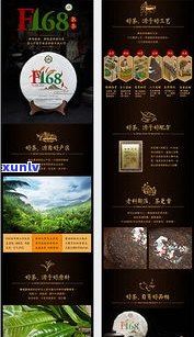  *** 卖普洱茶需要什么资质？哪些店铺比较好？