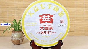 大益普洱茶3年陈357克最新价格是多少？熟悉其他相关产品价格