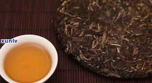 普洱茶后是什么茶？详解普洱茶的种类、品种及茶系