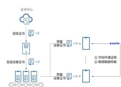 印记普洱茶：定义、特征与含义全面解析