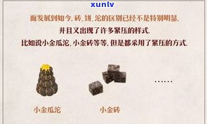 普洱茶压制流程图片大全：从选料到包装的全过程详解