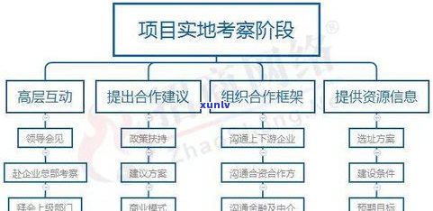 普洱茶压制流程图片大全：从选料到包装的全过程详解