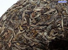 了解张家寨普洱茶：特点、价格与生茶全解析