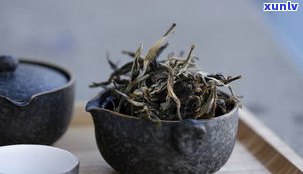 张家湾单株普洱茶-张家湾普洱茶多少一斤