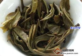 张家湾单株普洱茶-张家湾普洱茶多少一斤