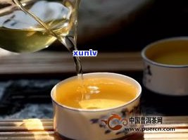 重庆适合存放普洱茶吗？了解重庆普洱茶存方式与专卖店信息