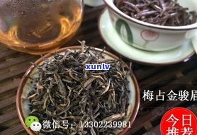 金骏眉普洱茶咋样-金骏眉 普洱茶