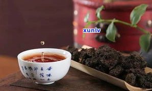 庆丰号普洱茶：2007年份价格表及旗舰店介绍