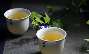 雨普洱茶保存时间及注意事