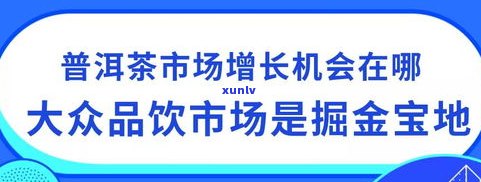 如何有效销售普洱茶刮油产品：视频讲解与客诉应对策略