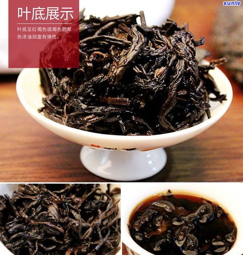 古树熟普洱茶介绍-古树普洱茶熟茶特点口感