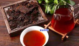 龙兴号普洱茶简介-龙兴号茶陈年普洱茶