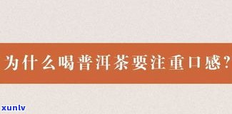 探究天门山普洱茶的独特卖点：价格、口感、产地等全面解析