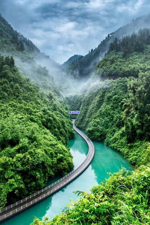 普洱天门山：揭秘云南著名山头及其特色生茶景点