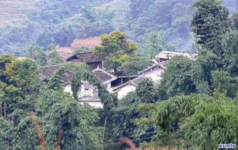 普洱天门山：揭秘云南著名山头及其特色生茶景点