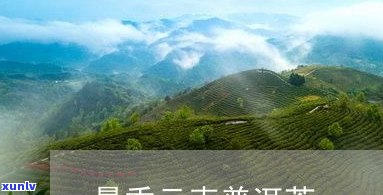 天门山普洱茶卖点-天门山普洱茶卖点在哪里