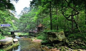 天门山普洱茶卖点-天门山普洱茶卖点在哪里