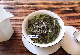 普洱茶饼：红茶？绿茶？白茶？——全面解析