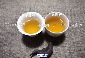 普洱茶饼：红茶？绿茶？白茶？——全面解析