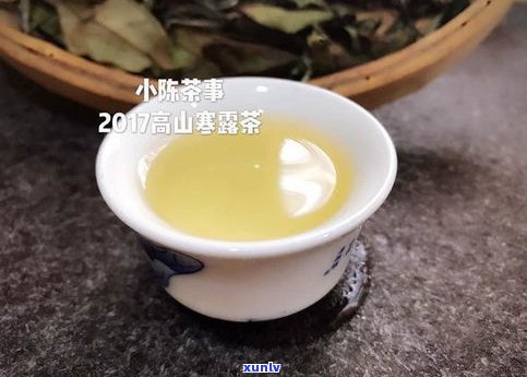 普洱饼茶是红茶还是绿茶？探讨其分类与特点