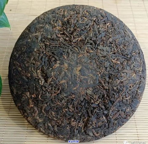 纸山箐普洱茶：产地、价格与品种全解析