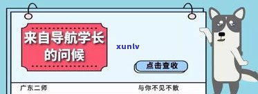 玉石讲价全攻略：视频教程与名词解释汇总，砍价还价技巧一网打尽！