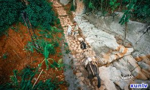 普洱茶马古道旅游攻略：门票、景区介绍及游记分享