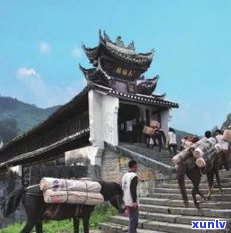 探索普洱茶马古道旅游景区：历、文化与自然风光全攻略