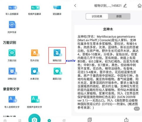 鉴别玉石价格： *** 、软件、APP全攻略