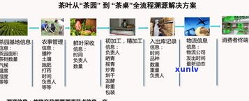 普洱茶叶加工厂：叶流程、位置与厂家全揭秘