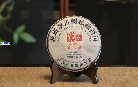 普洱茶称号大全：了解普洱茶的各种名称与定义