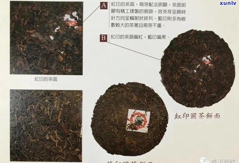 普洱茶的代号及其含义与由来全解析