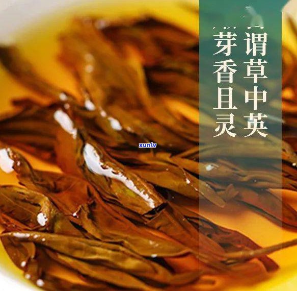 甜香馥的普洱茶-甜香馥的普洱茶有哪些