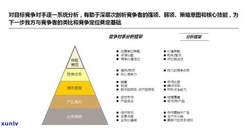 普洱茶容易饿：原因解析与应对策略