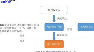 普洱茶容易饿：原因解析与应对策略